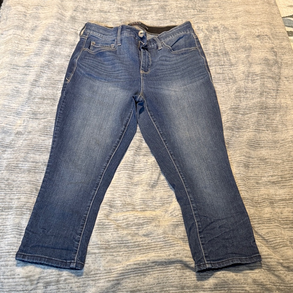 Torrid Classic Blue Women's Skinny Jeans